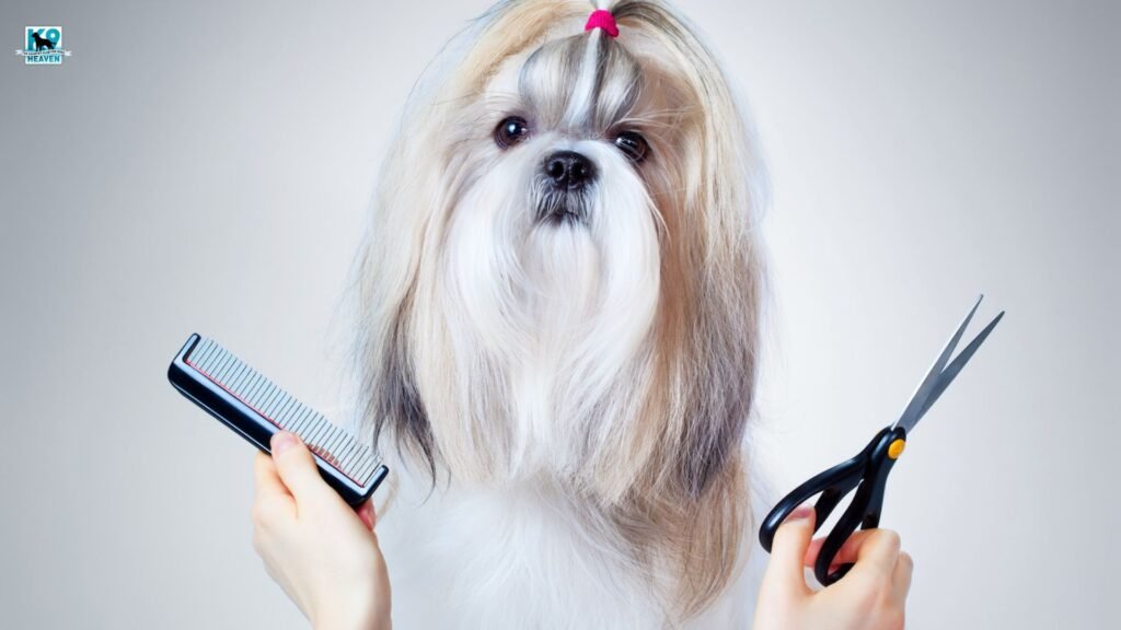 Dog Grooming